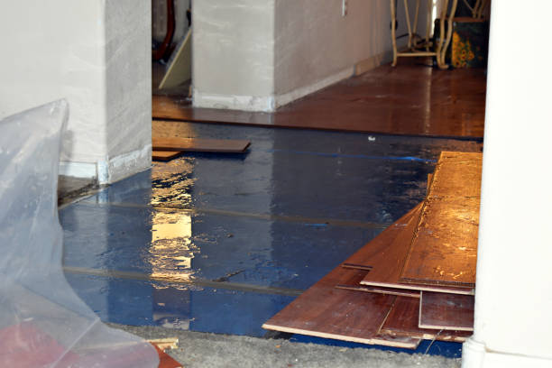 Professional Sewage Cleanup technician working in Idlewild, MI