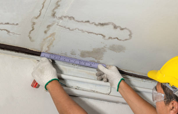 Reliable Sewage Cleanup contractor in Idlewild, MI by Water Damage Irwin